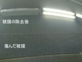 �����������������C���[�W